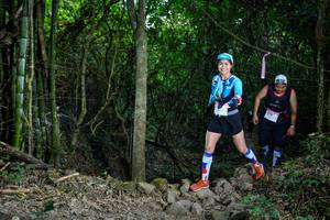 BIB: 
                            <button type="button" onclick="openModal(19440976)" class="btn btn-primary btn-sm float-right btn-popup" data-toggle="modal" data-target=".modal-high-quality">
                        <i class="fas fa-shopping-cart"></i> Add to Cart
                    </button>
                                            <button type="button" onclick="isThisMe(19440976, true)" class="btn btn-success btn-sm float-right btn-popup btn-isme hidden" data-toggle="tooltip" data-placement="bottom" title="นี่คือรูปของคุณใช่ไหม คลิกที่นี่เพื่อเอาเข้าอัลบั้ม">
                        <i class="fas fa-plus"></i> Add to album
                    </button>
                    <button type="button" onclick="isThisMe(19440976, false)" class="btn btn-warning btn-sm float-right btn-popup btn-isnotme hidden">
                        <i class="fas fa-ban"></i> Remove from album
                    </button>